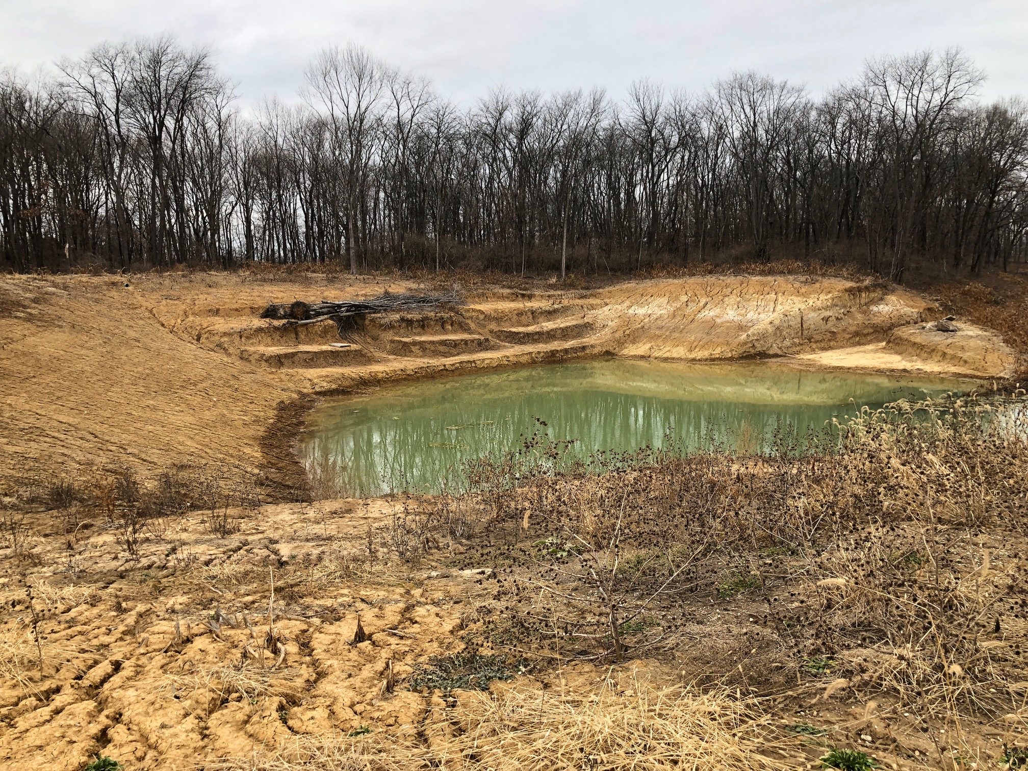 24 ACRES FULTON COUNTY Illinois Farm & Rec LandIllinois Farm & Rec Land