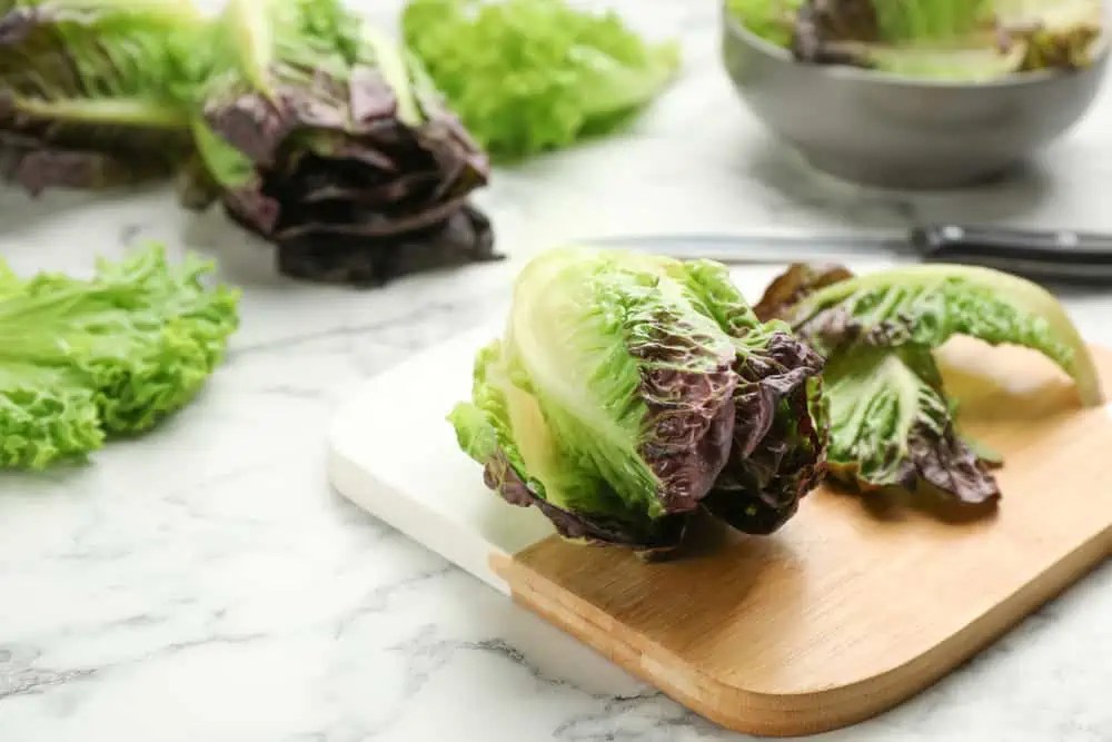 Why Does Lettuce Turn Red ilifeguides