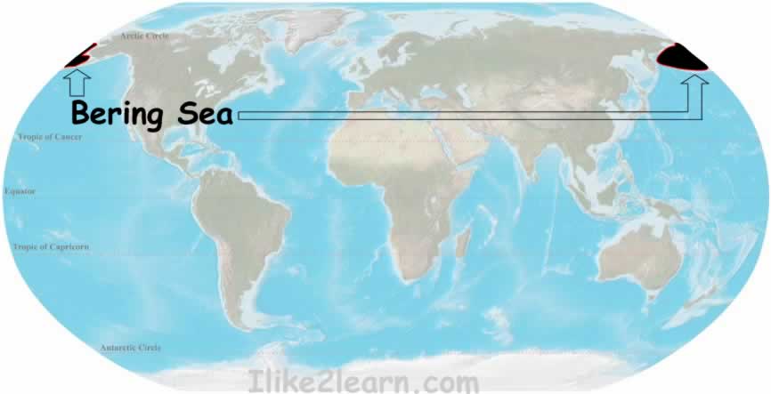 World Map Bering Sea Bering Sea