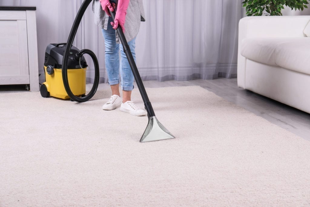 7 Steps to DIY Carpet Cleaning I Live UpI Live Up