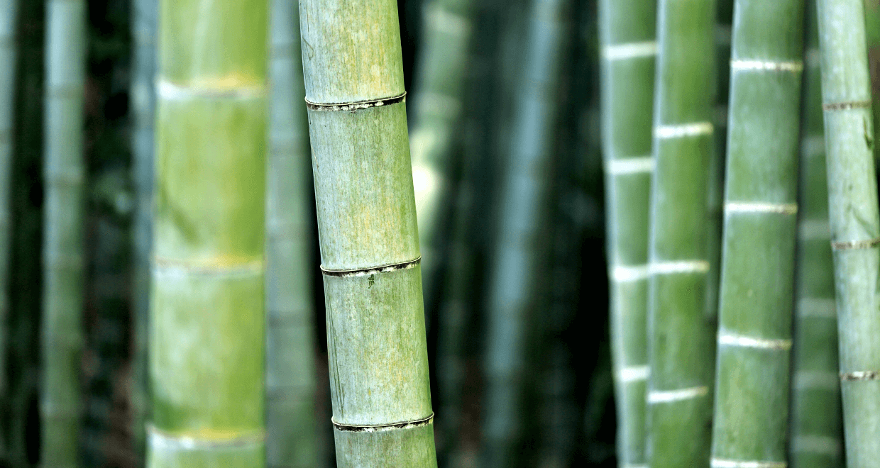Bamboo Flooring Problems Illinado, LLC