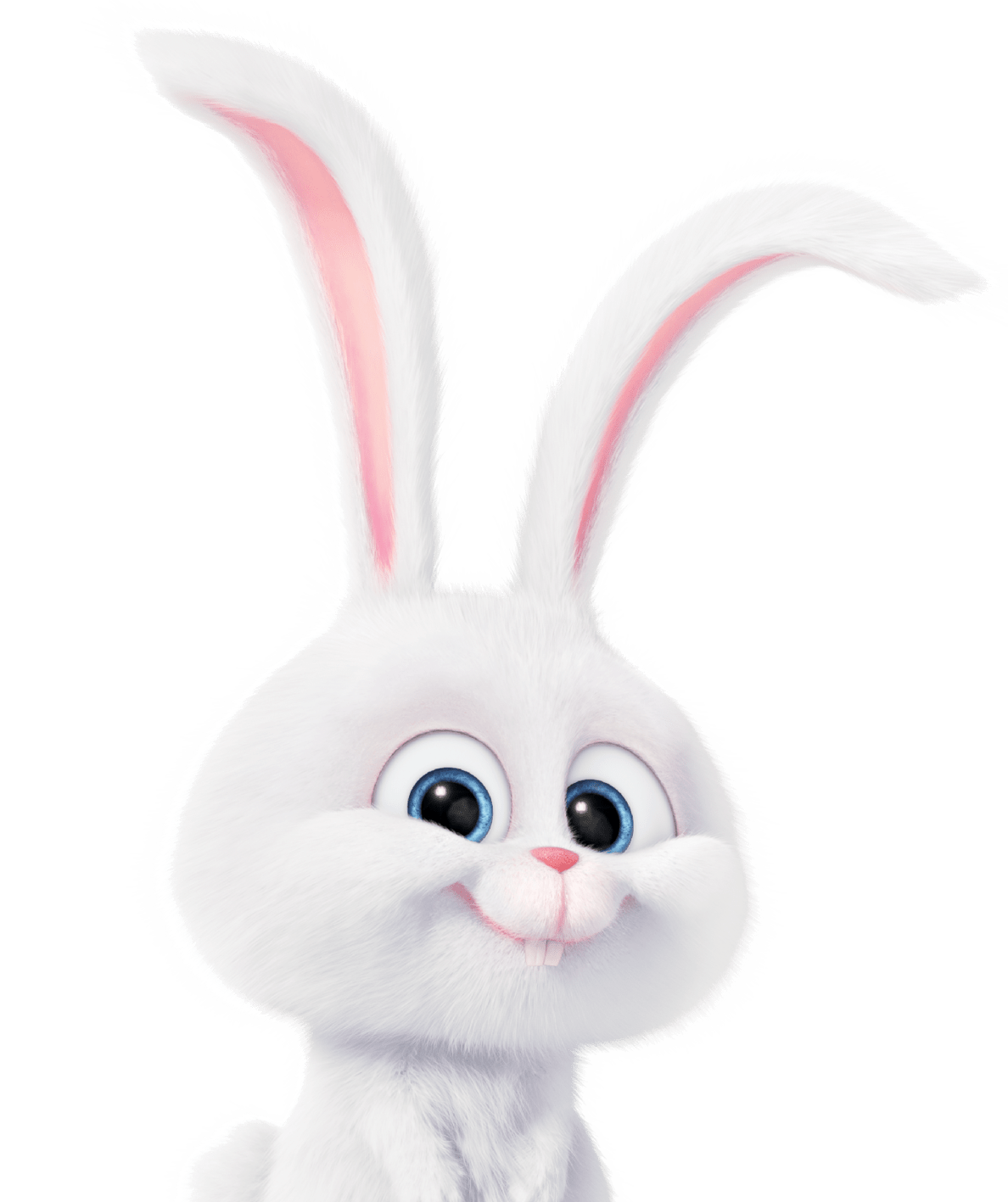 The Secret Life of Pets Illumination Entertainment