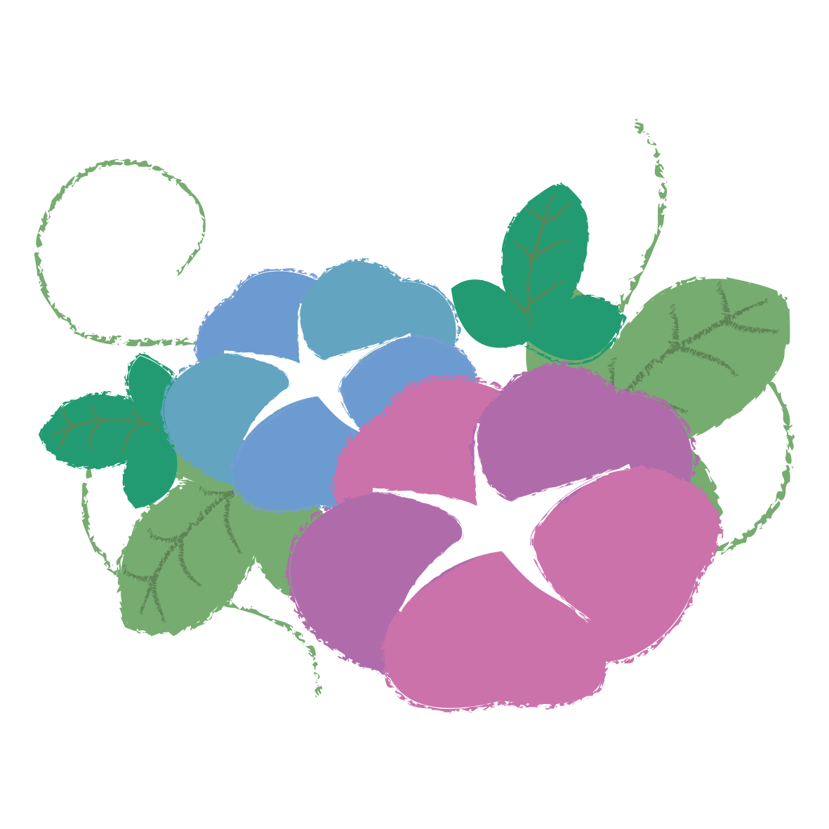 定番の花2-13-あさがお-花の素材-イラストポップ | 花のグラフィックデザイン, あさがお イラスト, 花 イラスト アサガオ」 - 無料イラスト［イラストAreira］