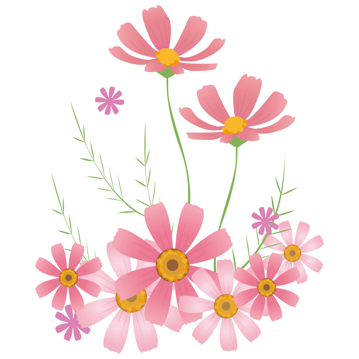 かわいいコスモスのイラスト素材｜IllustCute 「コスモス」 無料イラスト愛