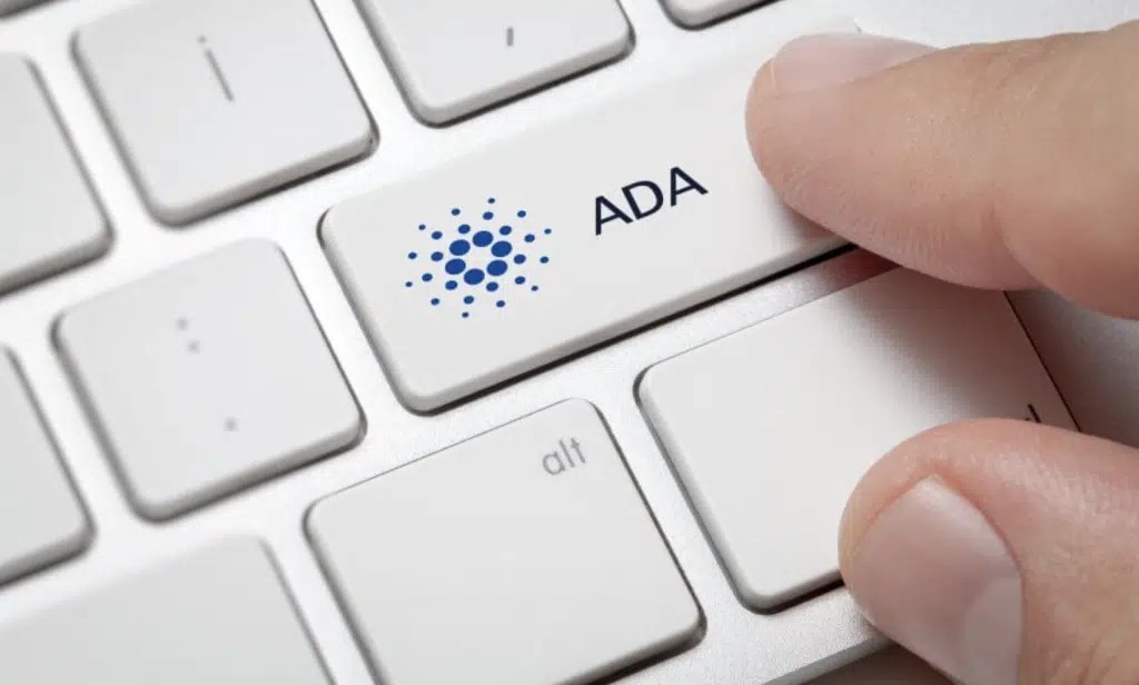 ADA Staking Calculator Everything You Need to Know iLounge