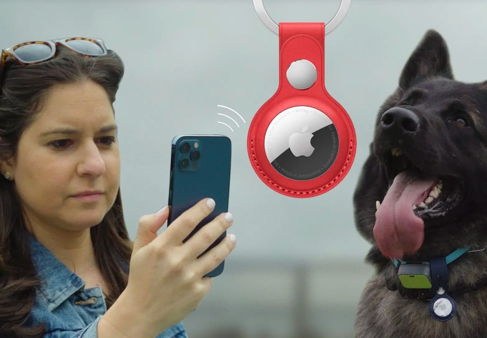 WSJ report says AirTags are not for dogs iLounge