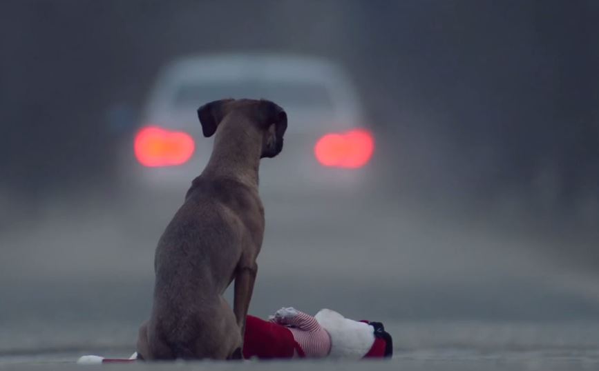 What It’s Like To Abandon A Pet. Everyone Should See This If They Are