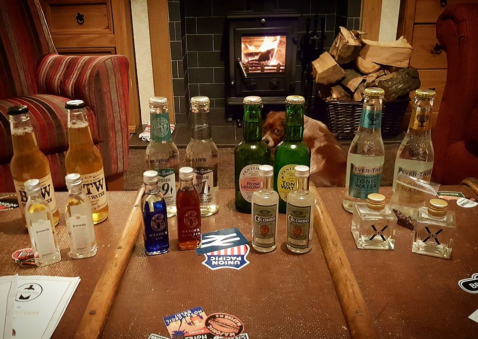 17 Truths For People Who Love Gin I Love Gin