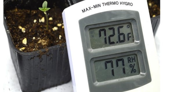 Best Grow Room Temperature For Marijuana Plants (According To Science)