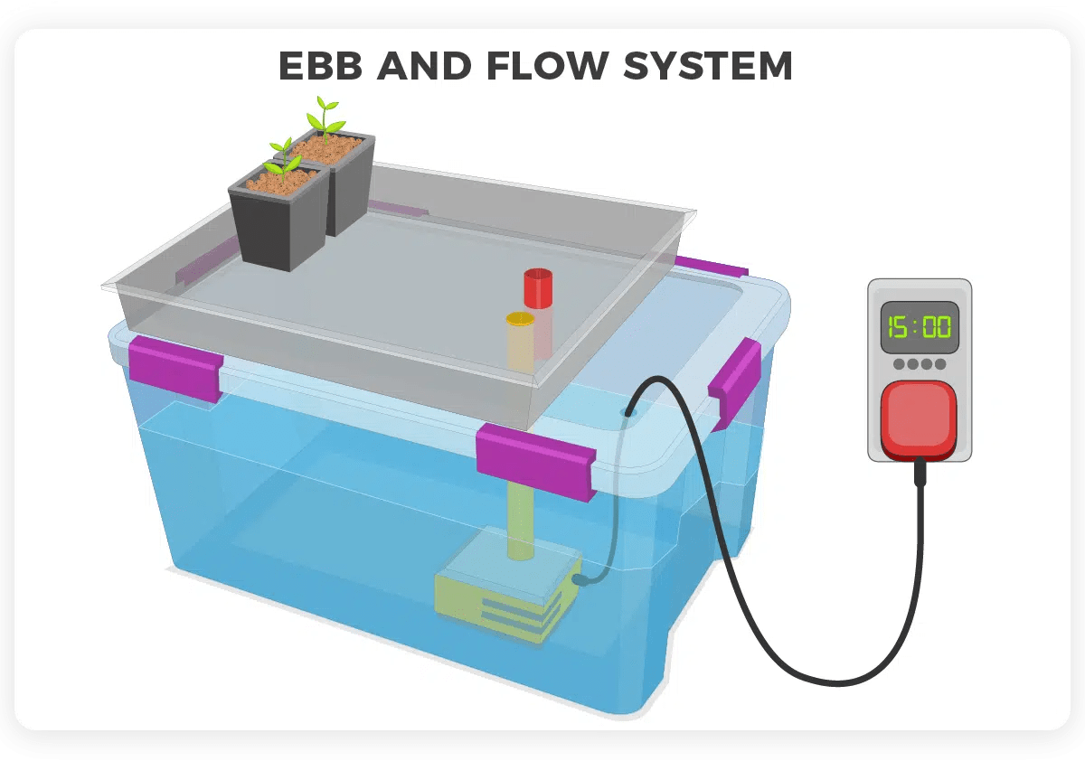 Growing Marijuana with Ebb and Flow Hydroponic Systems