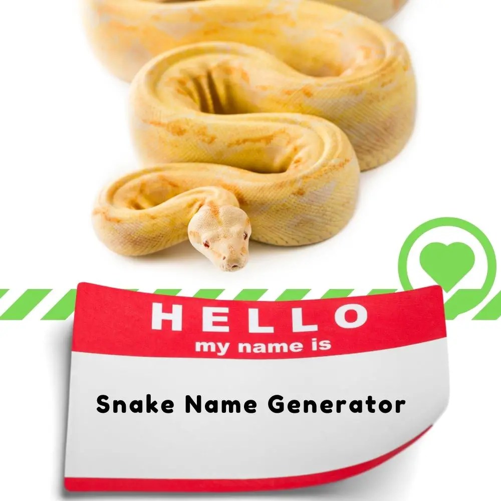 Snake Name Generator I Love IT