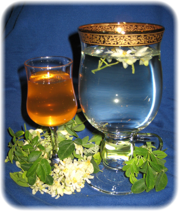 How to eat moringa buds flowers or blossoms