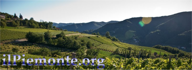 Piemonte: Prodotti Agricoli, Coltivazioni, Aziende Agricole] 295_x_803_jpg