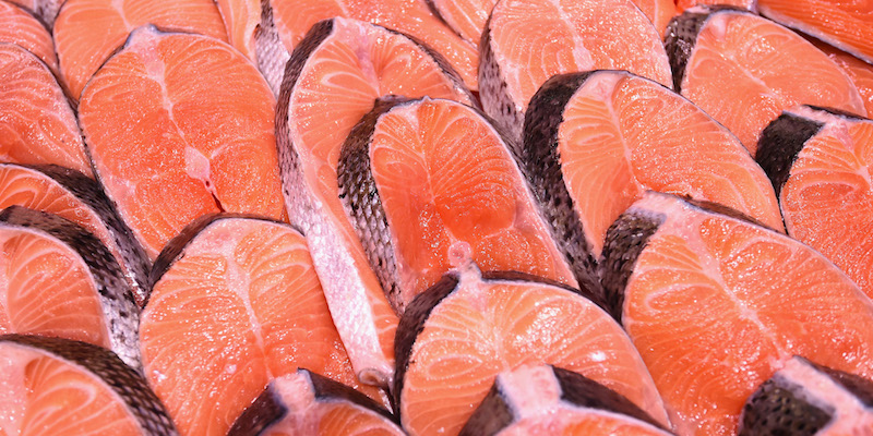 Salmone Piu Pregiato Del Mondo