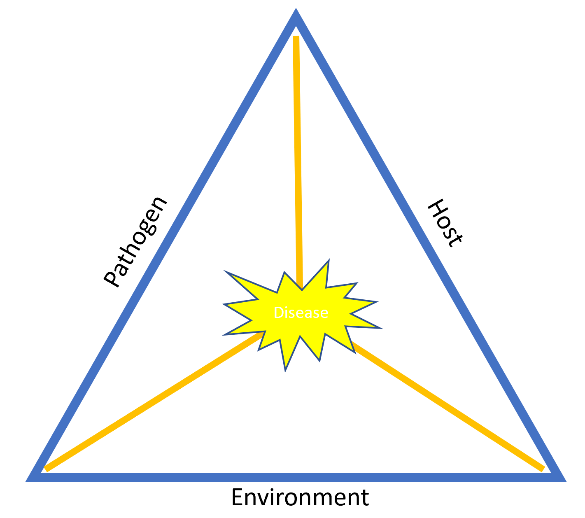 What Is the Disease Triangle? ILSoyAdvisor