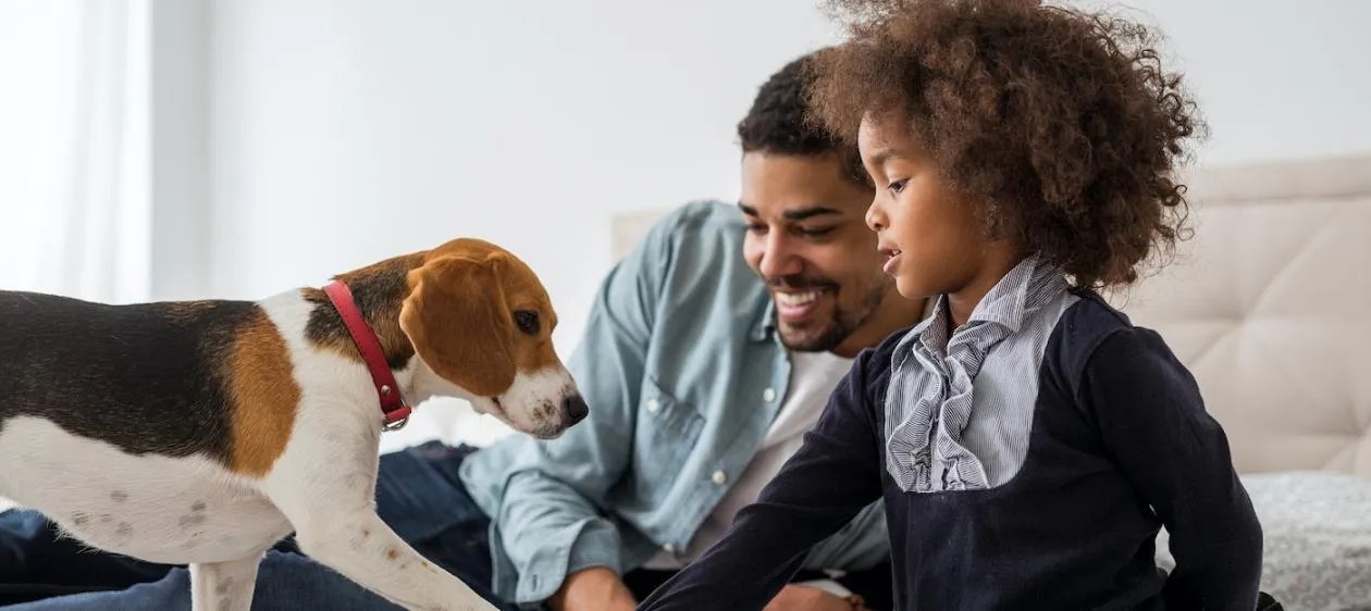 How pets can improve your life expectancy and general health I'm Insured