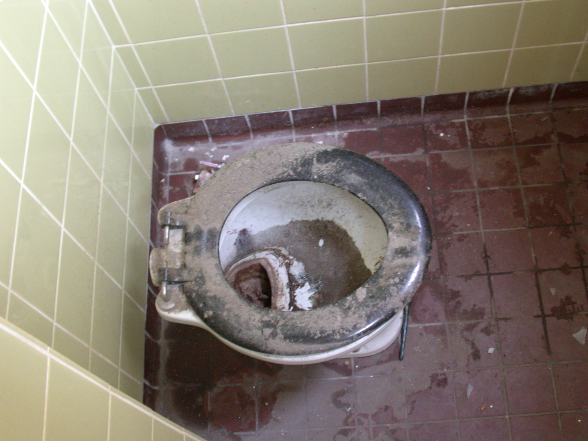 Image*After photos old broken down toilet watercloset loo seat