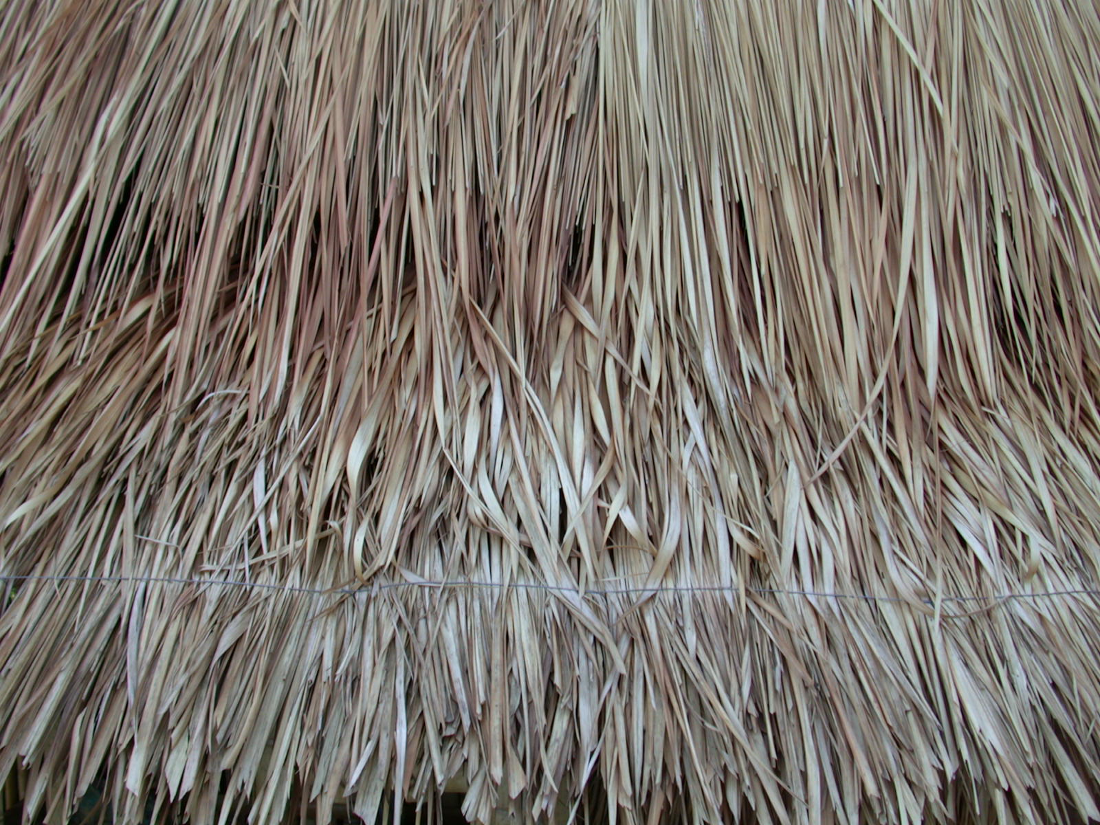 Image*After texture straw roof cover brown dried