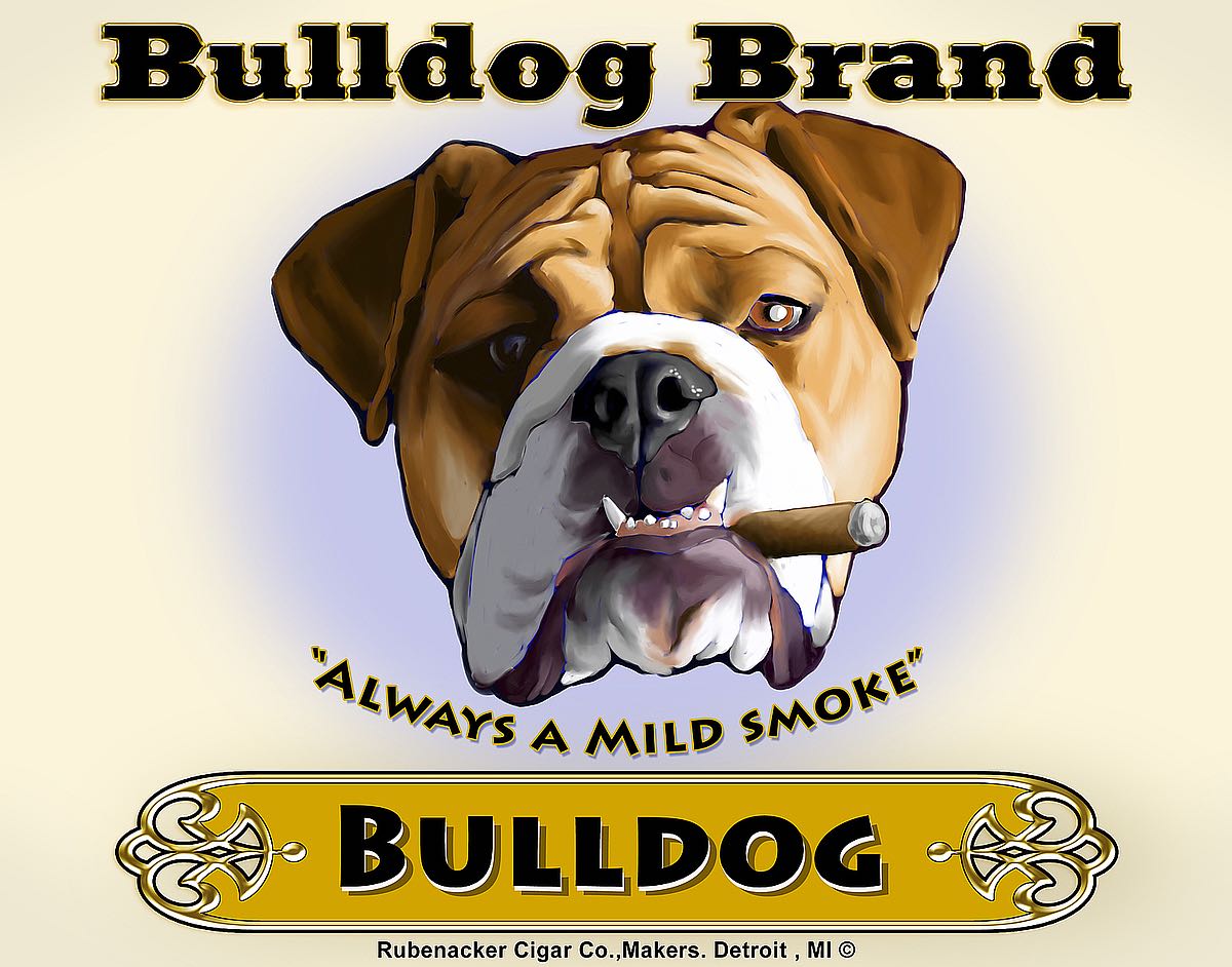 Bulldog Cigar Image Conscious