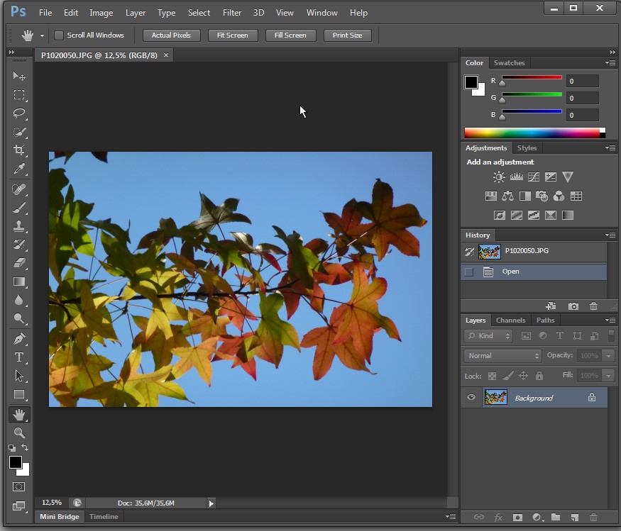 New Adobe CS6 Tutorials 30+ Hours of Free Online.