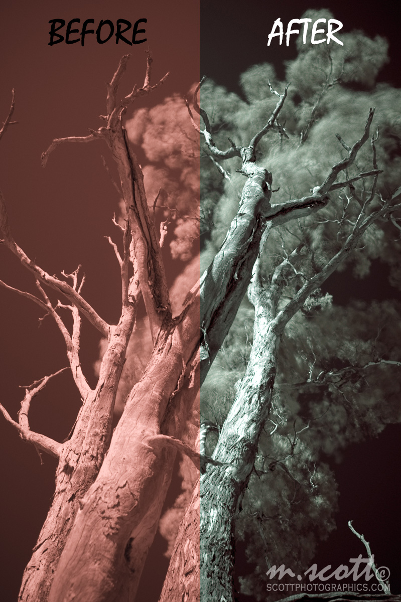 PostProcessing Infrared Photographs in Scott Photographics