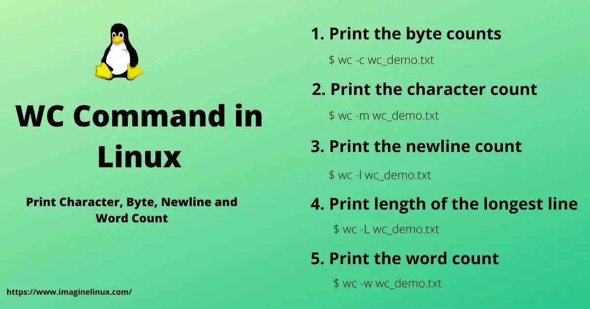 WC Command in Linux (How to) Print Character, Byte, Newline and Word