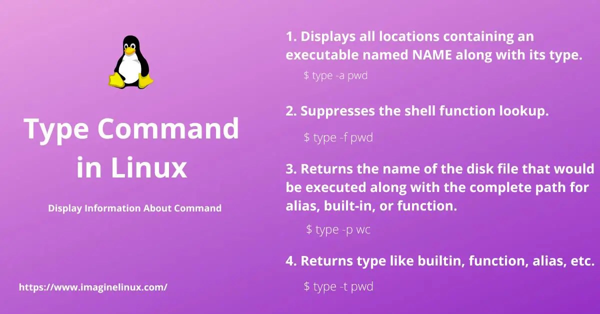 Type Command in Linux (How to) Display Information About Command