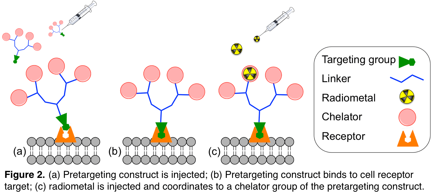 Increasing radioactive payload at peptide receptors in diseased tissue