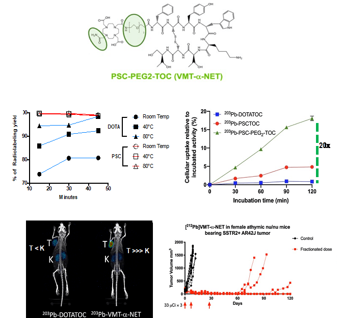 Development, radiobiological assessment and dosimetry of