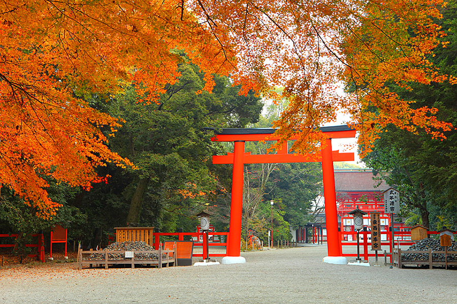 下鴨神社 糺の森 紅葉