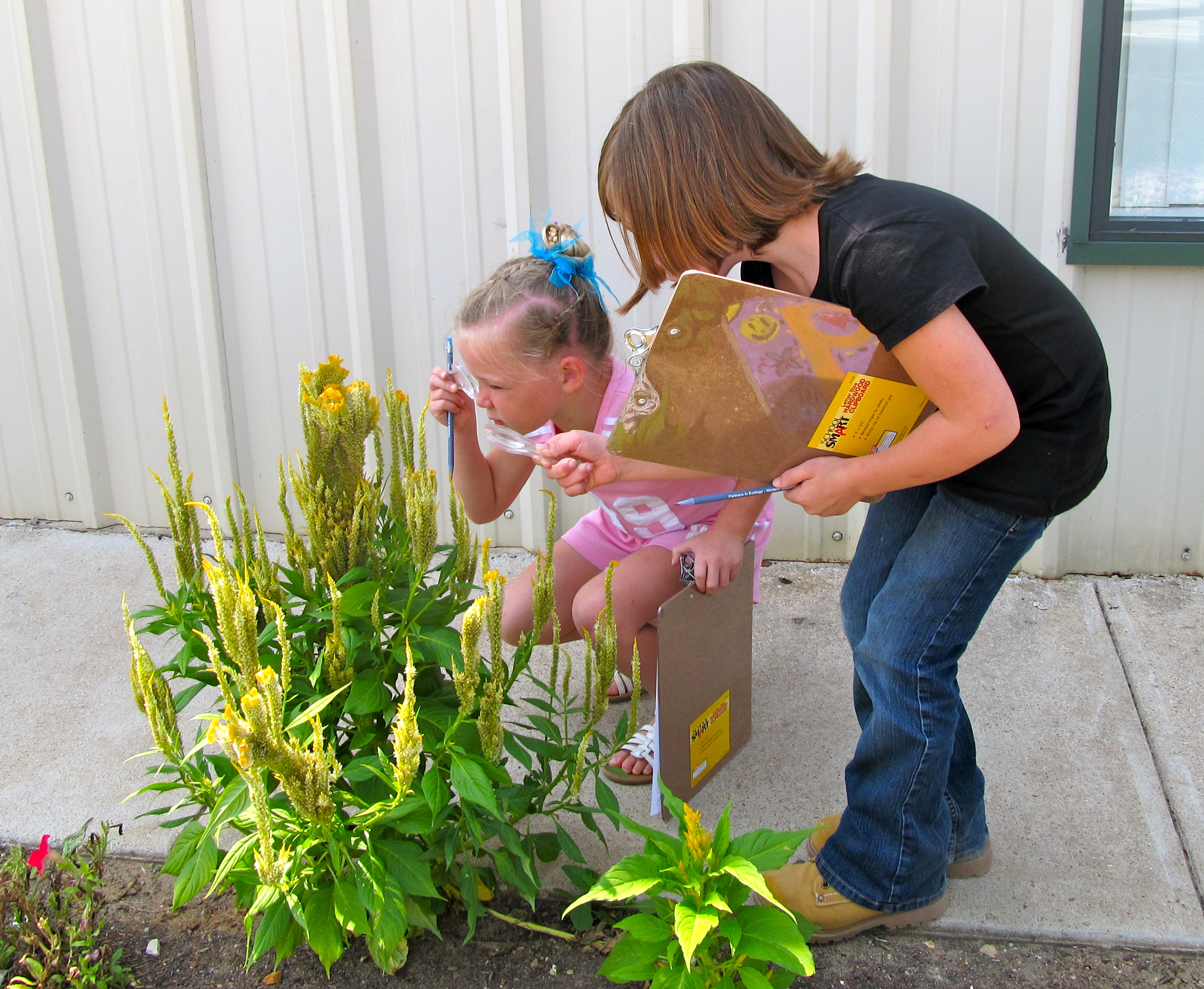 Students Experience Science « Imboden Area Charter School
