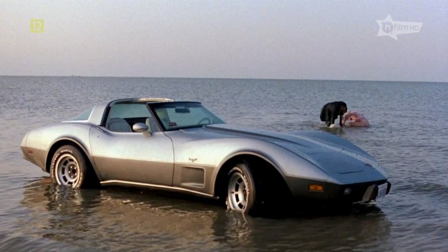 1978 Chevrolet Corvette C3 in "Terms of Endearment, 1983"