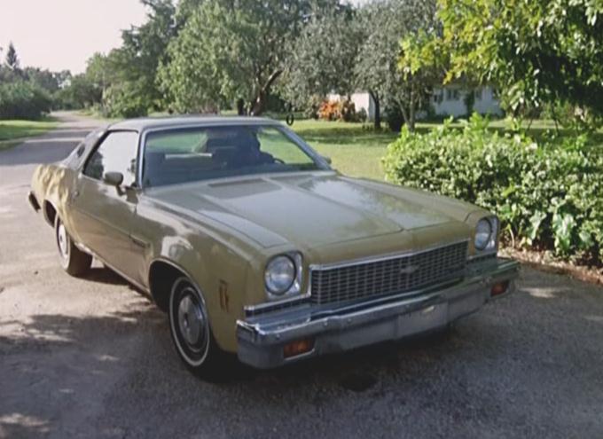 IMCDb.org: 1973 Chevrolet Chevelle Malibu Colonnade Coupé [D37] in
