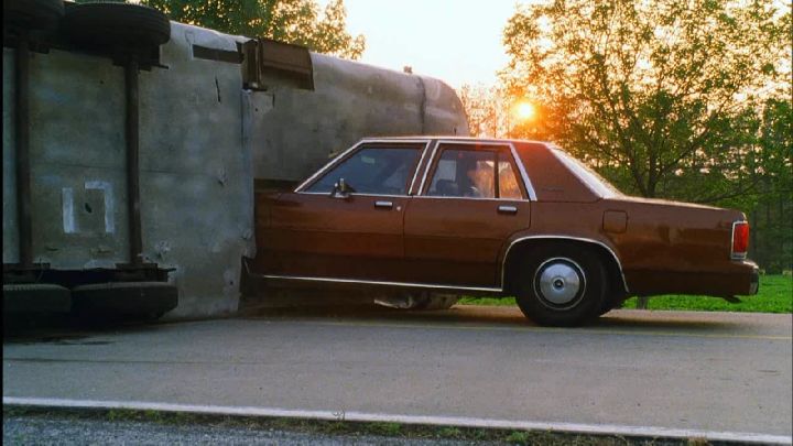 IMCDb.org: 1988 Ford LTD Crown Victoria in "Poor White Trash, 2000"