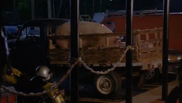 Chevrolet unknown in "Gordy, 1995"