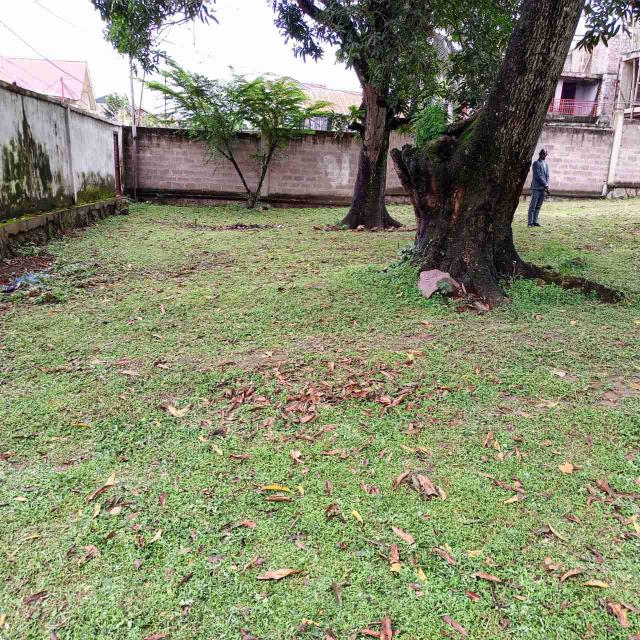 Terrain / parcelle YA KOTEKA Kinshasa Ngaliema Lopango Quartier Mimosas