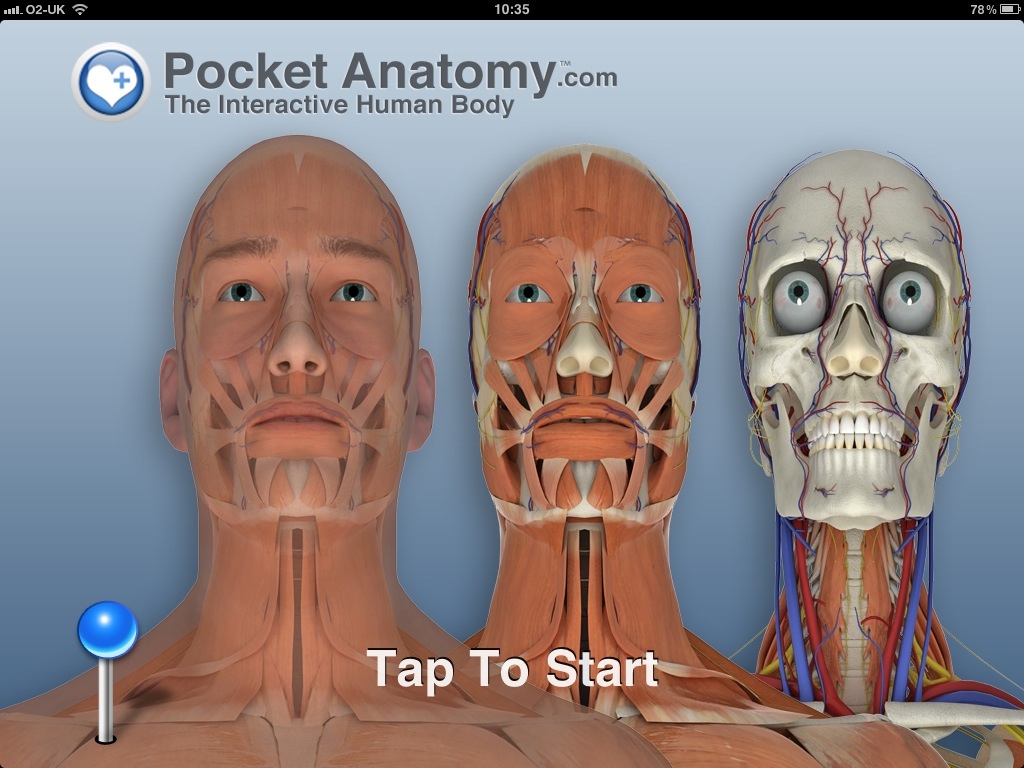Pocket Body 3D, The way anatomy apps should be on the iPad
