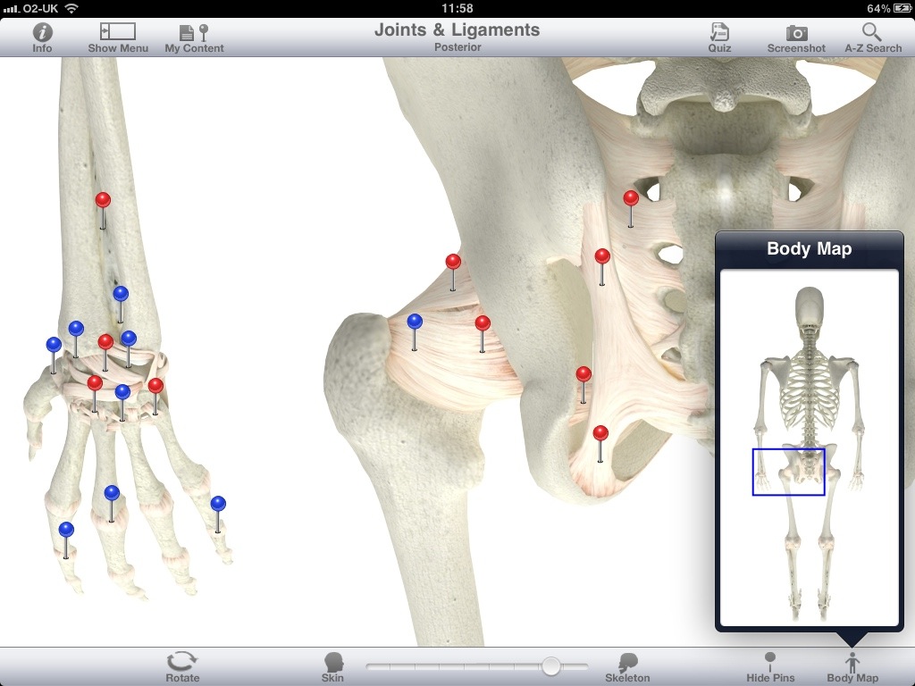 Pocket Body 3D, The way anatomy apps should be on the iPad