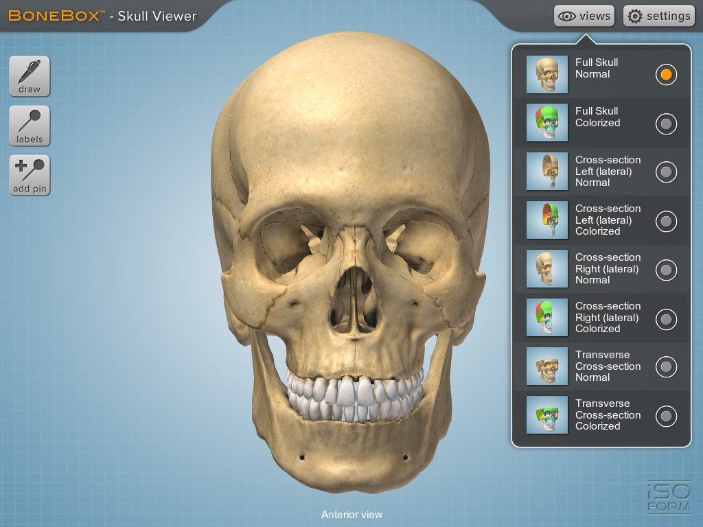 BoneBox Skull Viewer app for iPad is a 3D medical