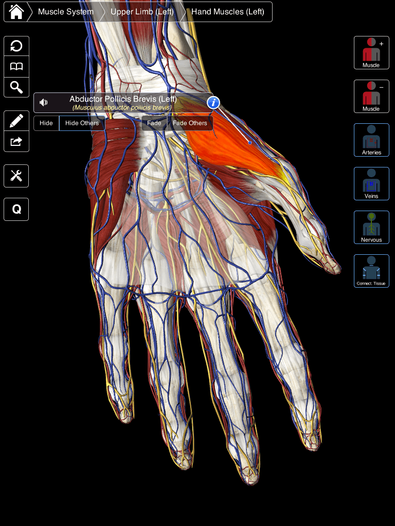 3D4Medical prepare to launch unique 3D essential anatomy