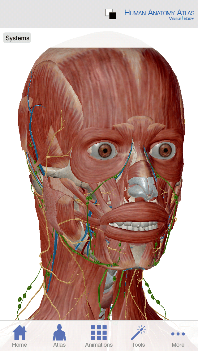 Visible Body Human Anatomy Atlas iphone and ipad medical app review