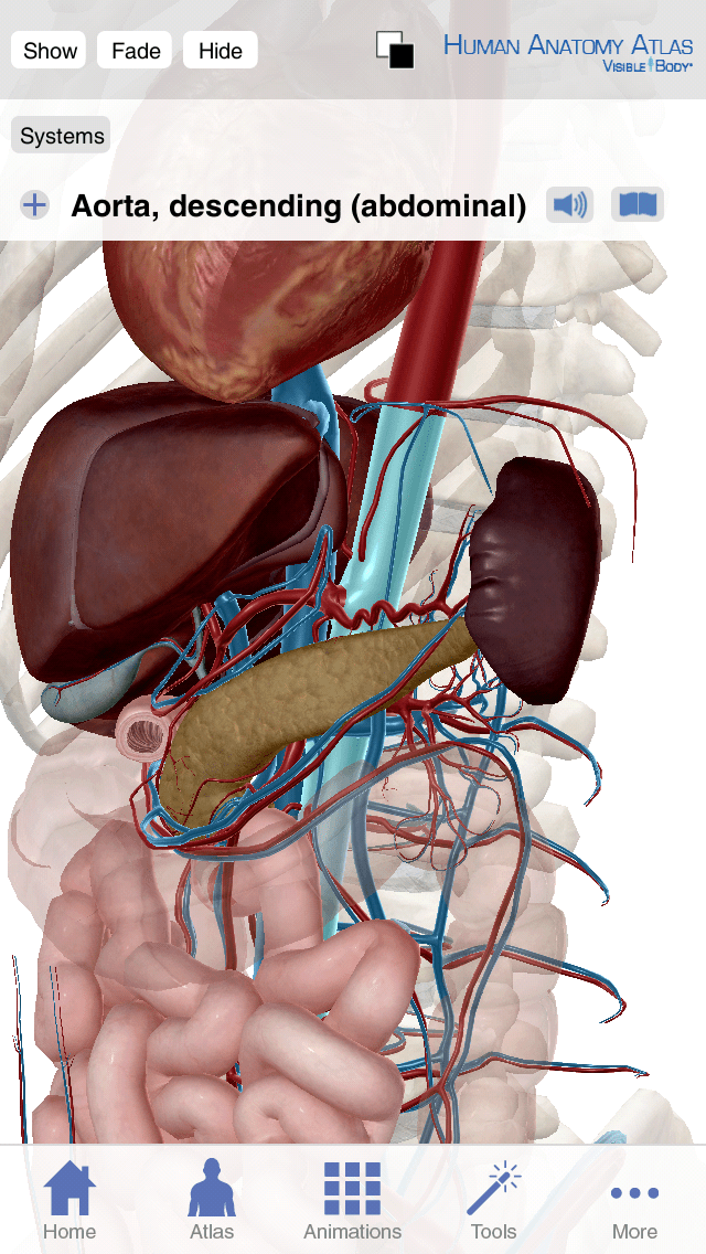 Visible Body Human Anatomy Atlas iphone and ipad medical app review