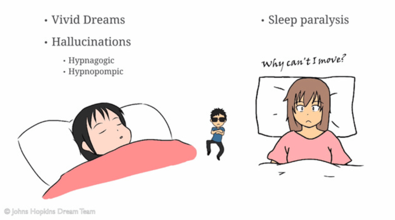 Review of My Sleep 101, a Johns Hopkins sleep disorder app iMedicalApps