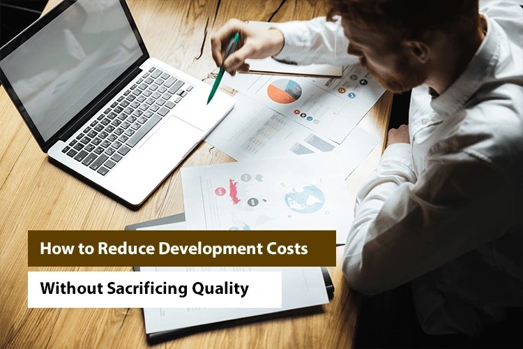 Smart Ways to Cut Development Costs Without Losing Quality Imenso(09)