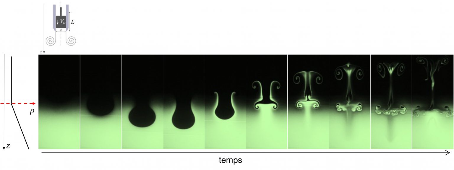 Vortex dynamics and wakes Toulouse Institute of Fluid