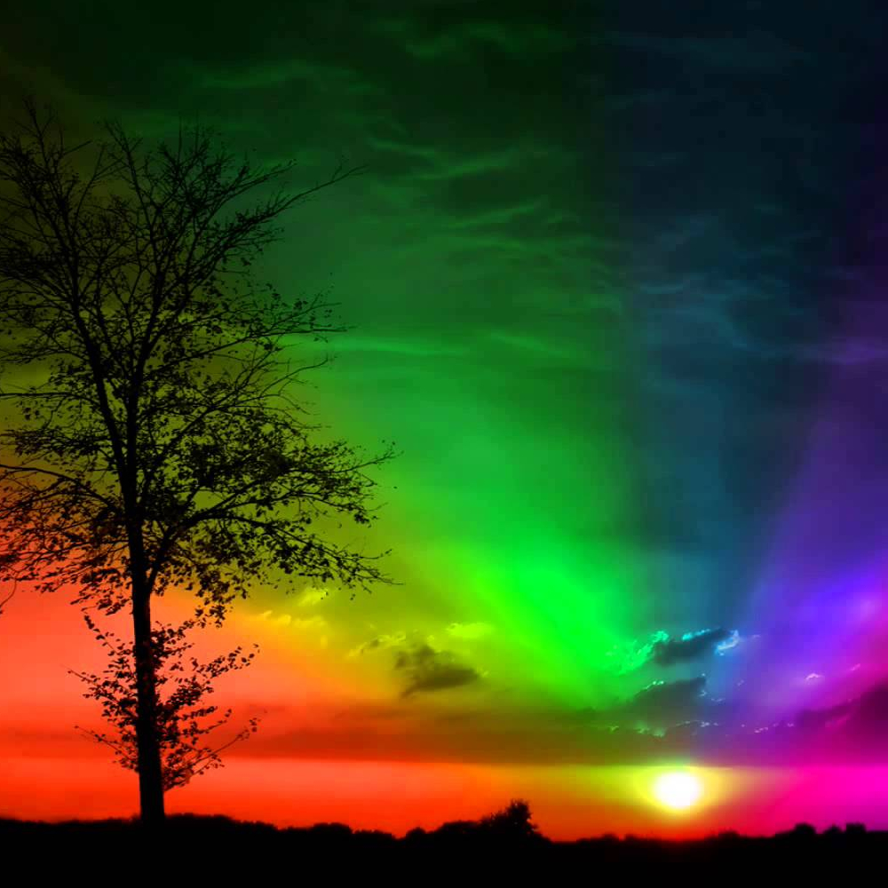Relax in the Rainbow Garden Faith Wood Inspiring Minds Consulting Ltd.