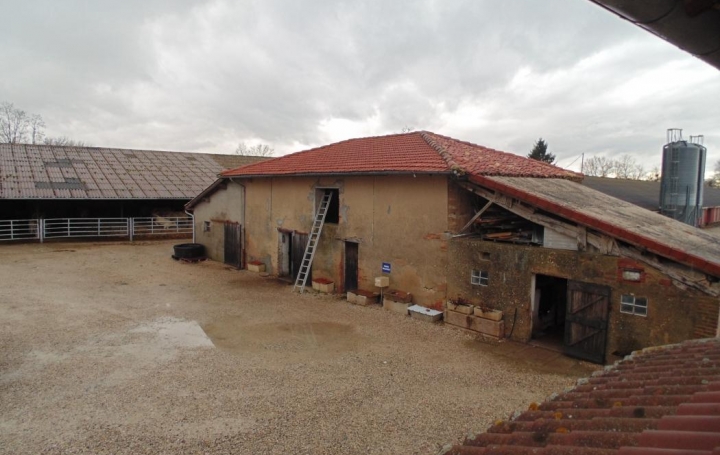 N°HL261 vente Domaine Ferme agricoleVillarslesdombes 01 Domaines