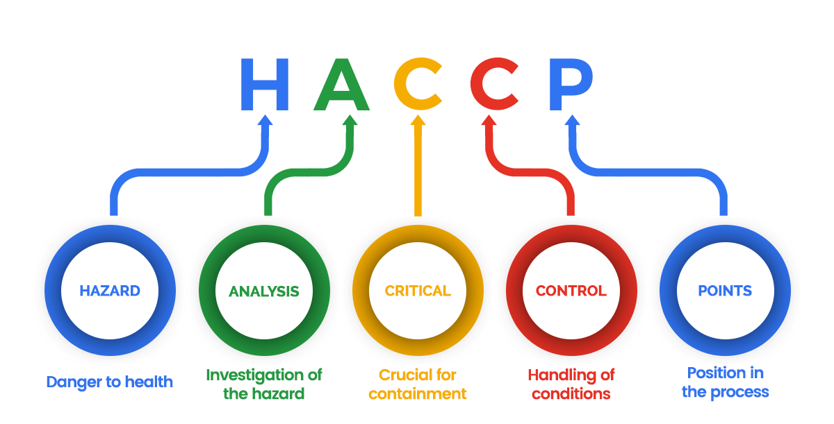 Ejemplos De Haccp