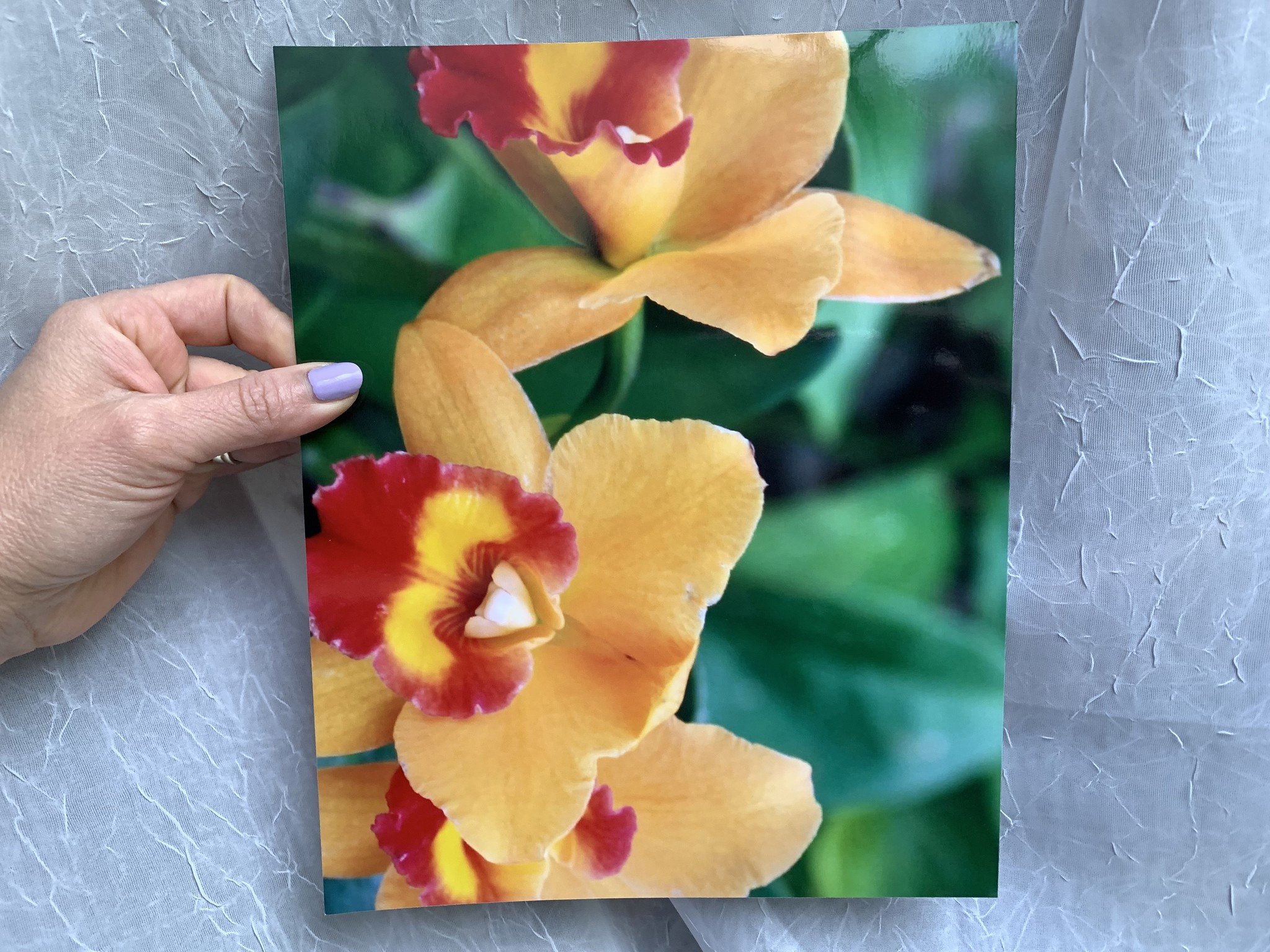 CVS Photo Printing review Extensive photo services iMore