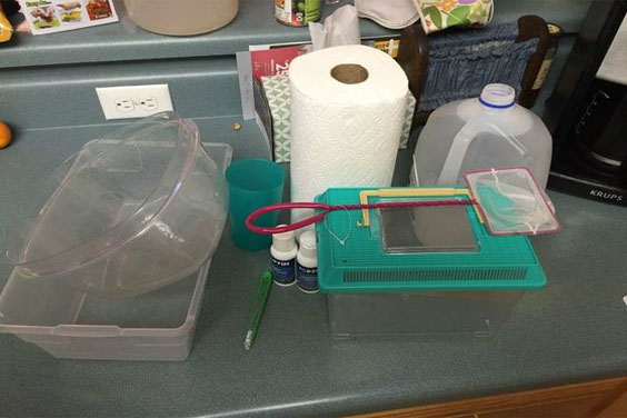 How to Clean a Fish Tank A Guide Imountaintree